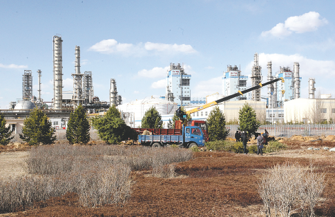 雨燕直播体育平台